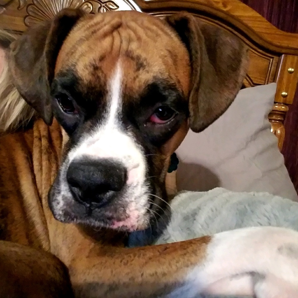 Meet your Posher, Lisa